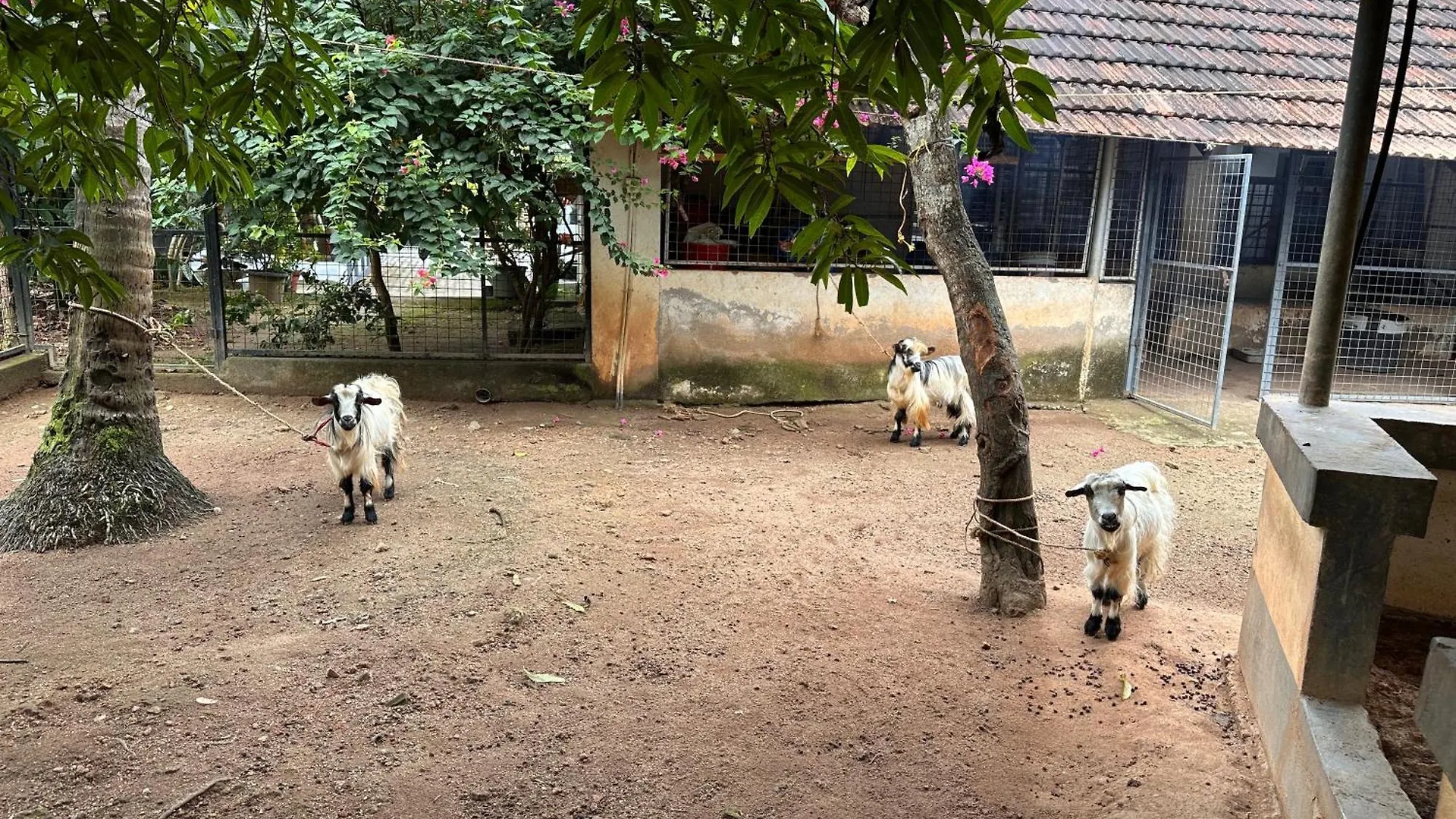 בית נופש טריואנדרום Kattil Farm Stay Varkala