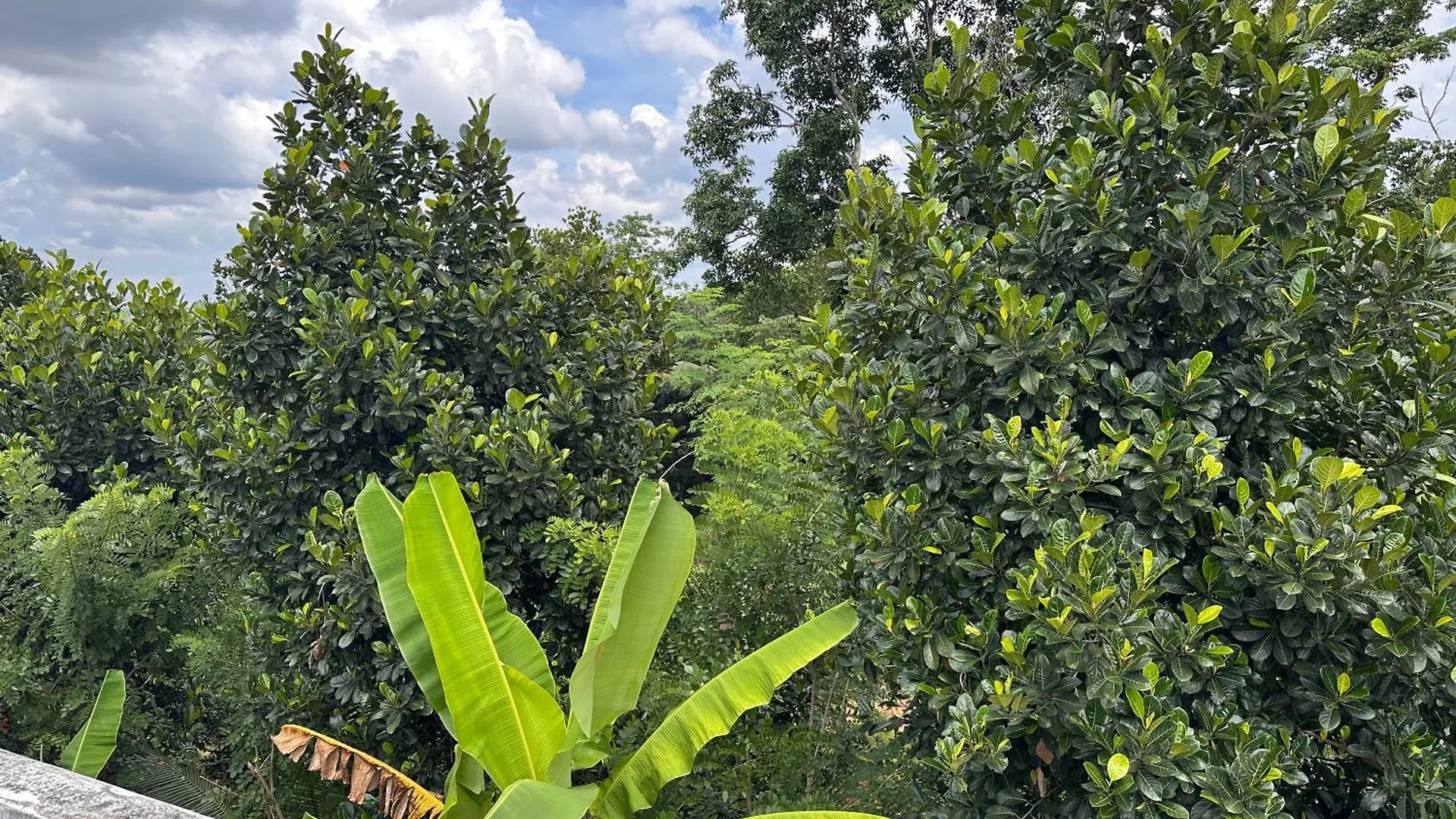 טריואנדרום Kattil Farm Stay Varkala